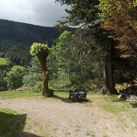 Tatil Evi Au Coeur Des Volcans D'auvergne, A 4 Km Du Super-lioran, Avec Jardin, Cheminee Et Wi-fi - Fr-1-742-31 Laveissière