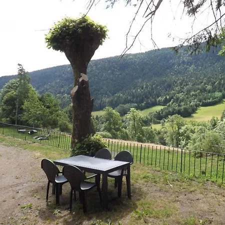 Charmant Gite Au Coeur Des Volcans D'auvergne, A 4 Km Du Super-lioran, Avec Jardin, Cheminee Et Wi-fi - Fr-1-742-31 Holiday home Laveissiere