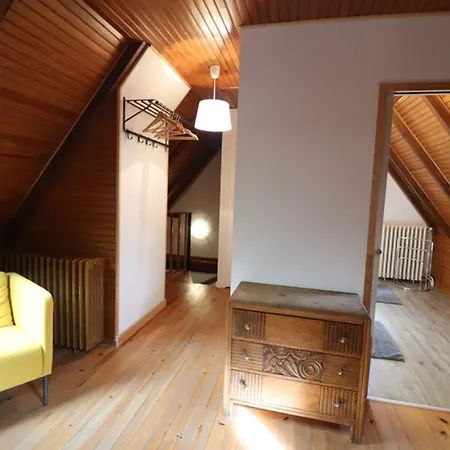 Au Coeur Des Volcans D'auvergne, A 4 Km Du Super-lioran, Avec Jardin, Cheminee Et Wi-fi - Fr-1-742-31 Laveissière