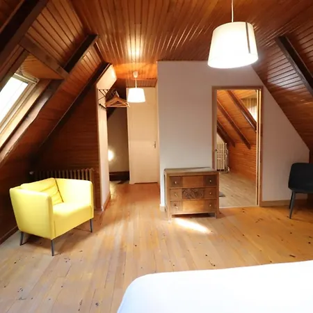 Charmant Gite Au Coeur Des Volcans D'auvergne, A 4 Km Du Super-lioran, Avec Jardin, Cheminee Et Wi-fi - Fr-1-742-31